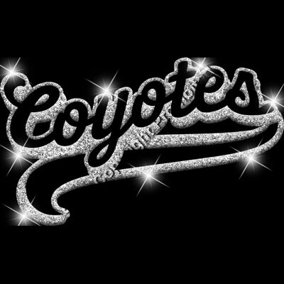 GLT78 SILVER GLITTER Thumbnail