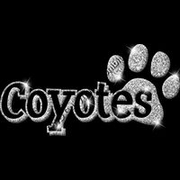 GLT17 SILVER GLITTER Thumbnail